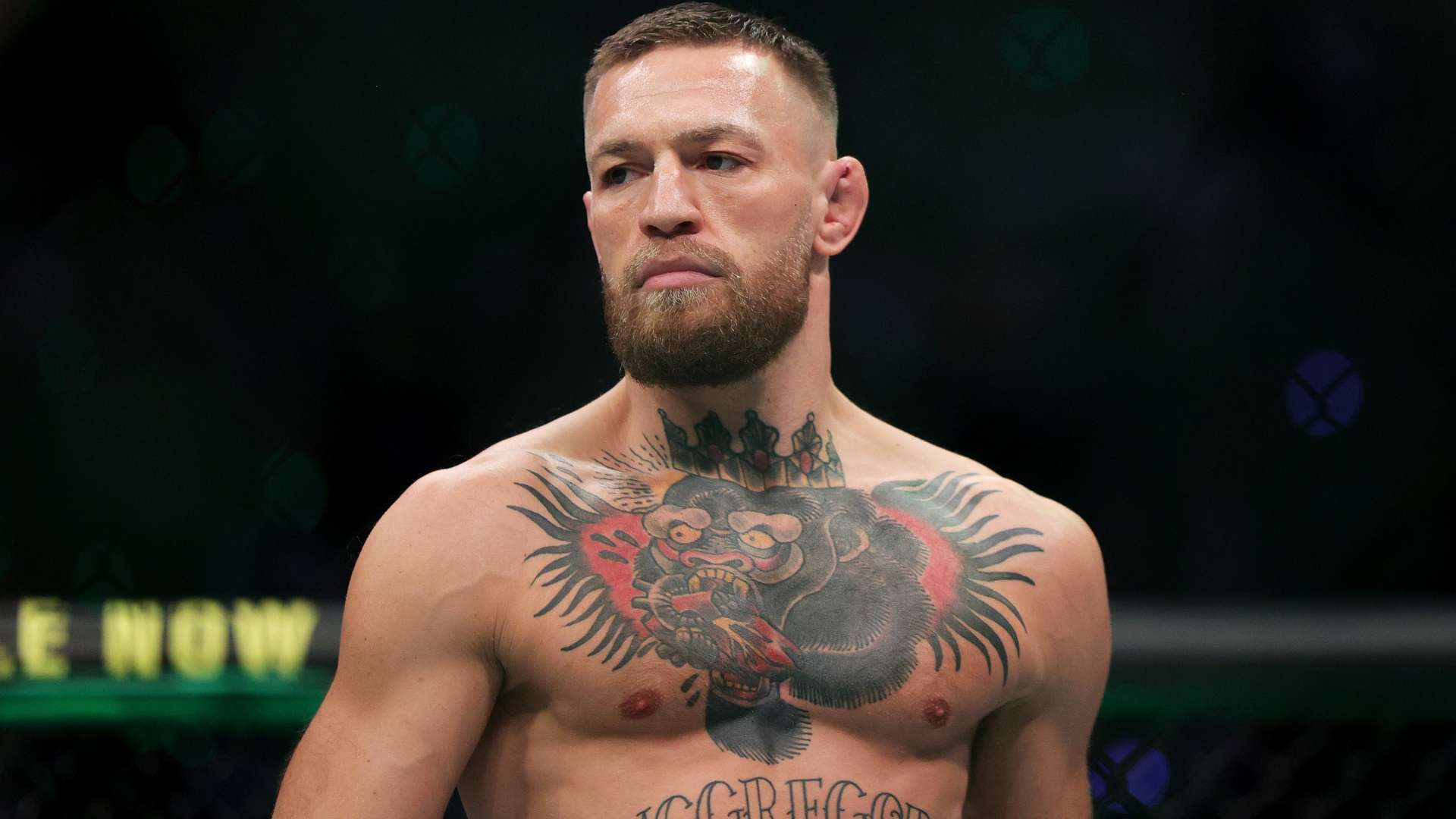 除了普尔的 除了普尔的