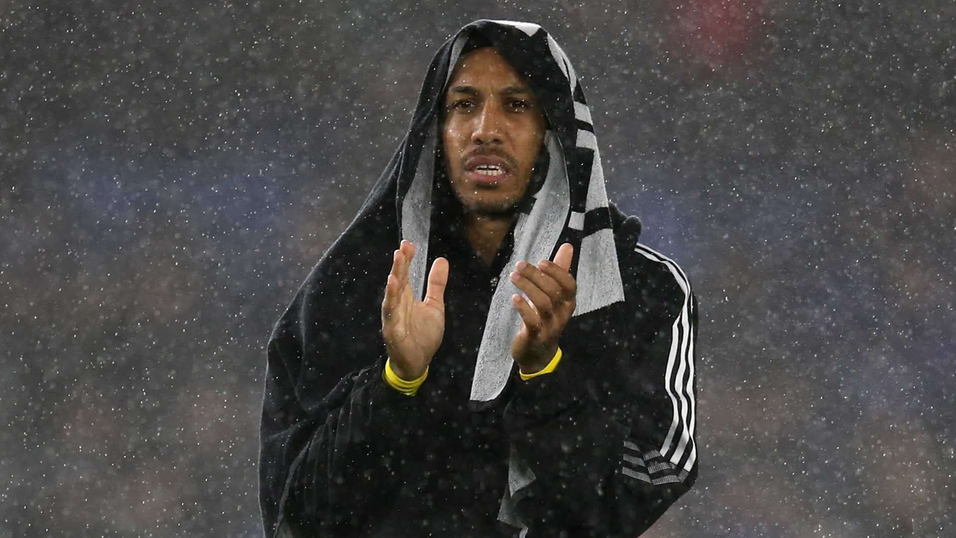 年海地的霍 年海地的霍