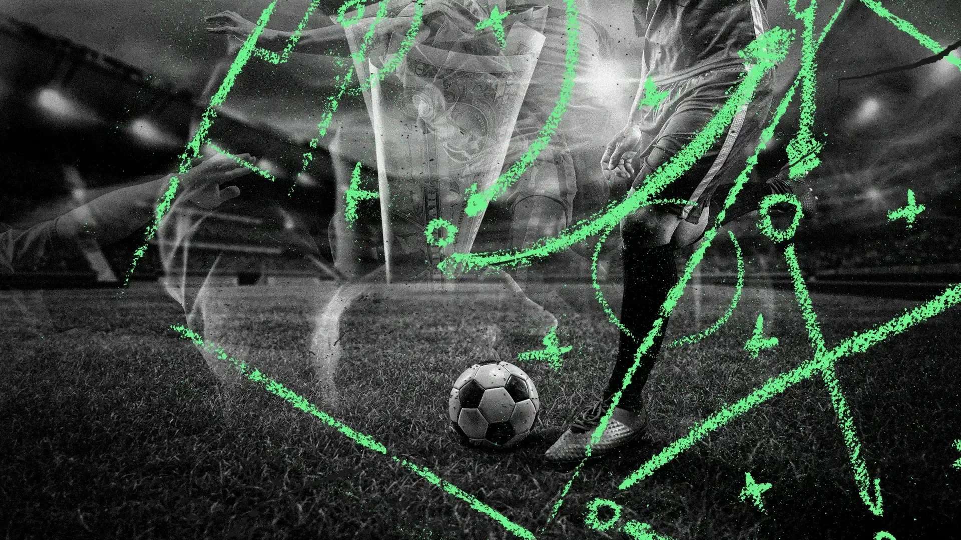 我们期待在 我们期待在